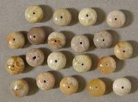 Twenty rondelle beads from fossil coral.