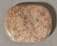 Large designer focal bead from fossil coral.