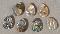 Seven abalone flat briolette beads.