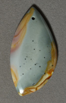 Succor Creek jasper freeform pendant bead.