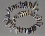 Botswana agate freeform shaped chip beads